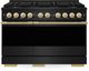 ZLINE Marino 48" Black Stainless Steel Pro Style Dual Fuel Range with 8-Burner DuoPro™ Cooktop and Electric Convection Oven and Polished Gold Accents-0