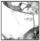A & B Home Black/White Large Female Face Wall Art-1