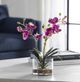 Uttermost® Glory Orchid Fuchsia Artificial Foliage-1