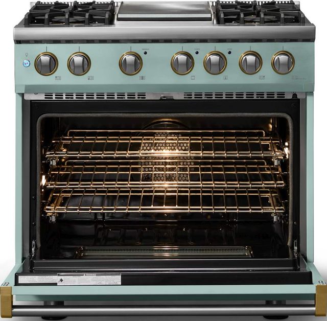 Viking® 5 Series 36" Splash Pro Style Dual Fuel (NG) Range with Brushed Brass Trim-1
