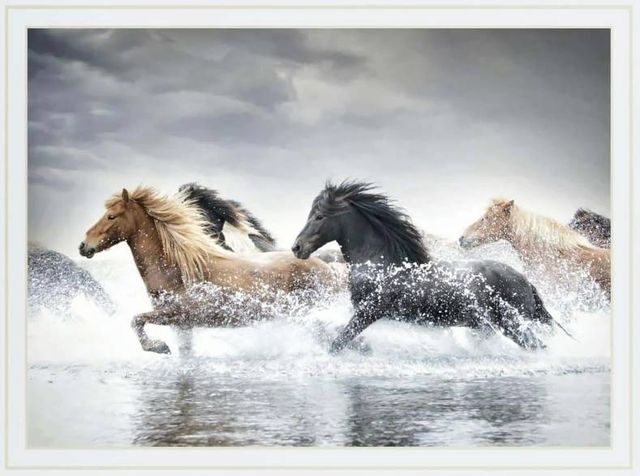 Classy Art Horse Run V by PHBurchett Wall Art-1