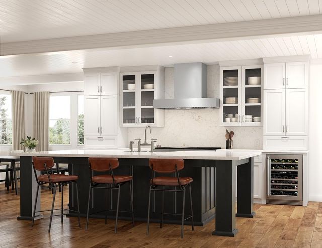 Zephyr Roma Pro 48" Stainless Steel Wall Mounted Range Hood with TruHue™-4