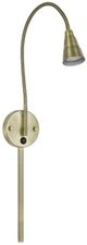 Cal® Lighting & Accessories Rust Wall Mount Gooseneck Lamp-0