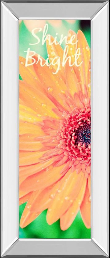 Classy Art Shine Bright Daisy by Susan Bryant Mirror Framed Wall Art-0