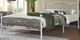 Titus Furniture White 60" Queen Metal Bed-0