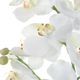 Uttermost® Laris Black/Green/White Orchid-5