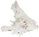 A & B Home Wattle White Natural Tree Root Decoration-0