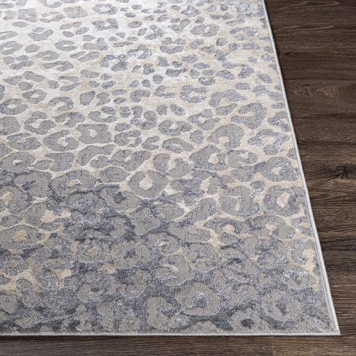 Surya Perception Multi-Colored 8'x10' Area Rug-3
