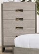 Furniture of America® Gristalt Stone Gray Chest-0