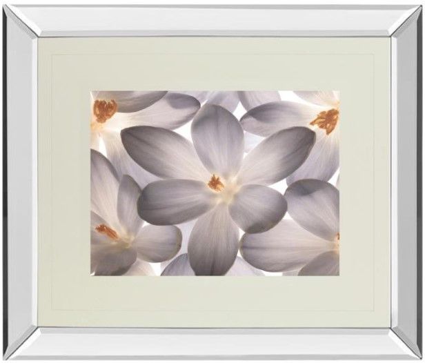 Classy Living Assaf Frank Petal Perfect Wall Art-0