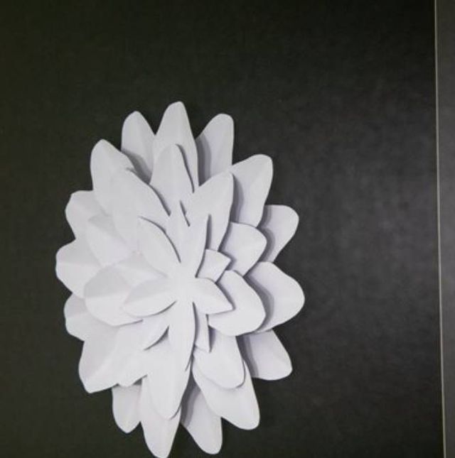 YHD Papayrus II Wall Art-4