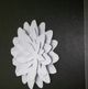 YHD Papayrus II Wall Art-4