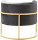 TOV Furniture Magnolia Grey Velvet Chair with Gold Base-1
