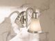 Moen® Waterhill® Brushed Nickel One Globe Bath Light-1