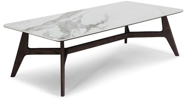 Natuzzi Editions Plettro Statuario/Brown Ash Rectangular Coffee Table-0