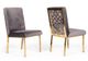 VIG Furniture Modrest 2-Piece Gold/Gray Dining Chair Set-0