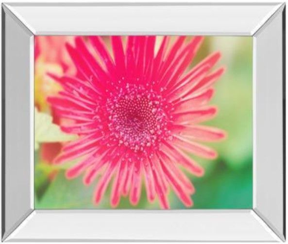 Classy Living Susan Bryant Pink Gerbera Wall Art-0