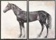 Stylecraft Norman Wyatt Rustic Equinel 2-piece Wall Art Set-0