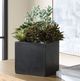 Uttermost® Greystone Green/Matte Black Indoor-Outdoor Succulent-2