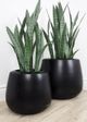Le Present Belly Black 19" Planter-4