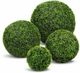Le Present Boxwood Green Faux Botanical Ball-1