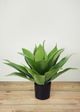 Le Present Agave Green 16" Faux Botanical-4