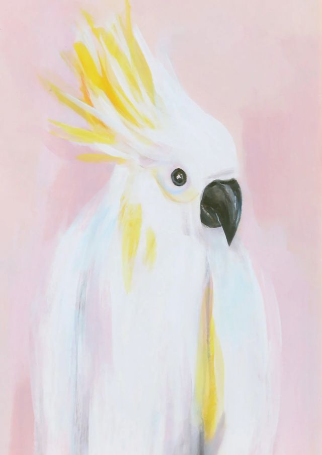 Stylecraft Tamara Day Cockatoo Against Soft Pastels Wall Art-1