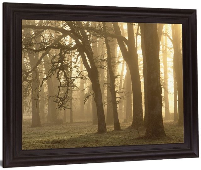 Classy Living Misty Golden Grove Wall Art-2