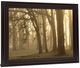 Classy Living Misty Golden Grove Wall Art-2