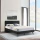 Armen Living Petra Black King Platform Simple Bed-1