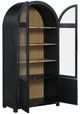 Steve Silver Co. Magnolia Black Curio-4