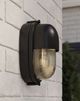 Currey & Company Maritime Black/Clear Outdoor Wall Sconce-5