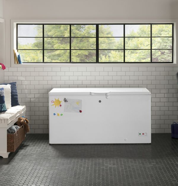 GE 15.7 Cu. Ft. White Chest Freezer