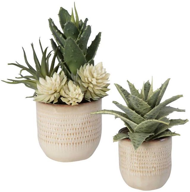 Uttermost® Seaside 2-Piece Neutral Tan Succulents Set-0