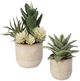 Uttermost® Seaside 2-Piece Neutral Tan Succulents Set-0