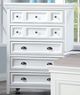 Furniture of America® Castile White Chest-0