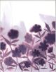 Classy Living Grace Popp Ultra Violets II 22" Wall Art-2