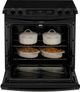 GE® 30" Black Drop-In Electric Range-3