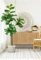 A & B Home Rustic White Round Carved 3D Wall Decor-3