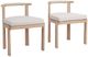 Classic Home Oliver 2-Piece Butterscotch Fabric/Wooden Outdoor Dining Chair Set-0