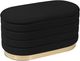 TOV Furniture by TOV Slashed Black Velvet Lillian Storage Bench-2