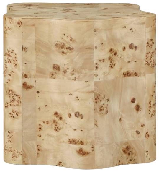 Meridian Furniture Zaire Burl End Table-1
