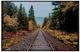 Crestview Collection Autumn Tracks Wall Art -0