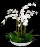 Uttermost® Flourish Orchid Green/White Centerpiece-0