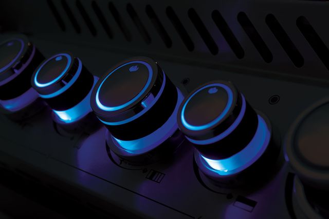 Napoleon Prestige® PRO™ Series 10-Burner Stainless Steel Built-In Natural Gas Grill-4