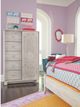 Signature Design by Ashley® Paxberry Dressing Chest-1