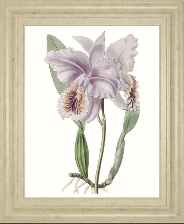 Classy Art Lavender Beauties II by Edwards Wall Art-0