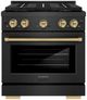 ZLINE Paramount 30" 4.2 cu. ft. Black Satin Stainless Steel Paramount Dual Fuel Range with 4 Burner DuoPro™ Cooktop and Electric Convection Oven and Polished Gold-0