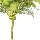 A & B Home Green Mixed Berry/Fern/Leaves Drop-2