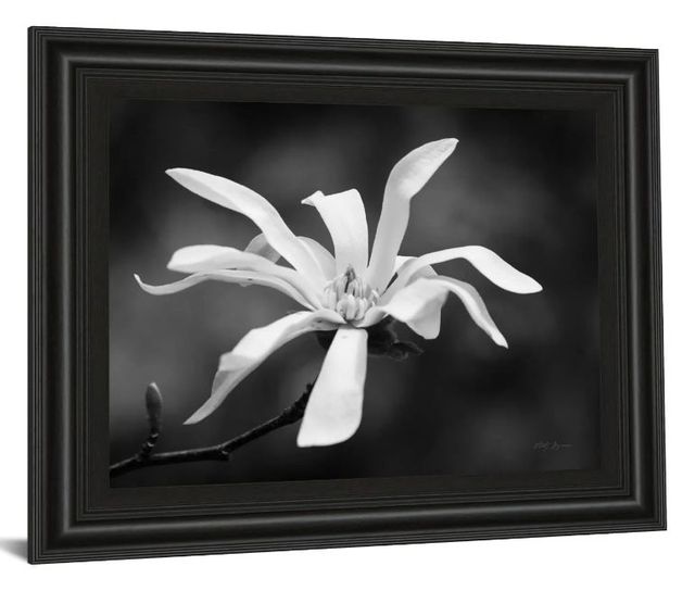 Classy Art Magnolia Dreams I by Geyman Vitaly Wall Art-1